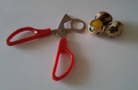 Ножницы для перепелиных яиц