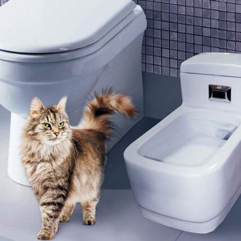 Самоочищающийся туалет для кошек