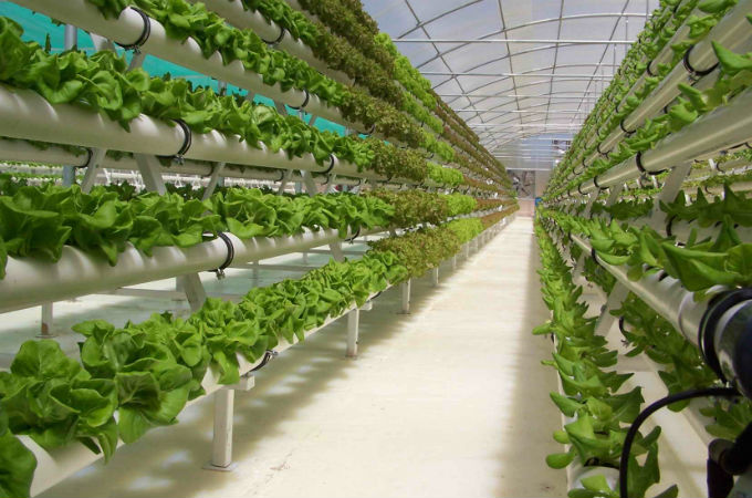 Гидропонные системы