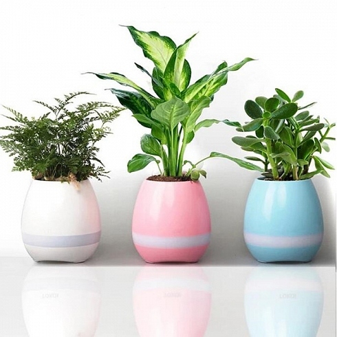 Умный горшок для растений