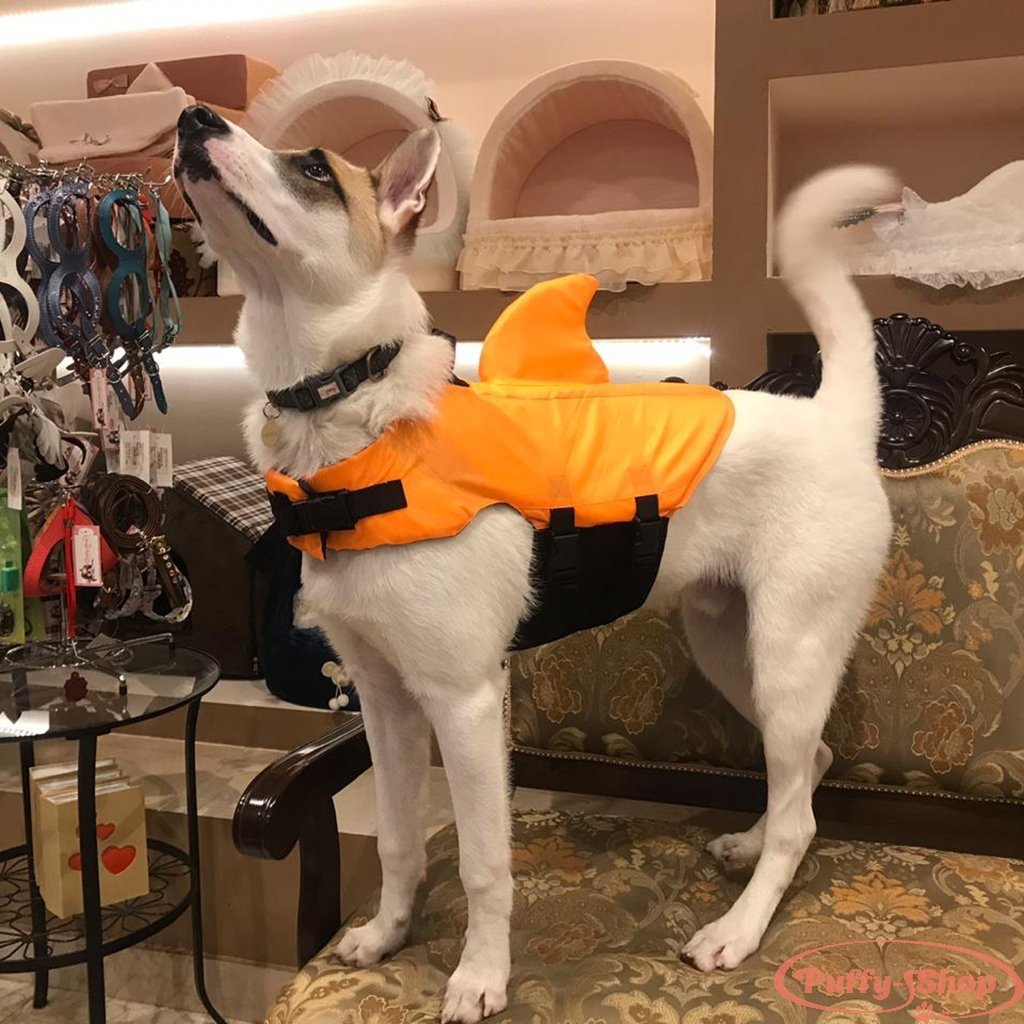 Спасательный жилет для собаки