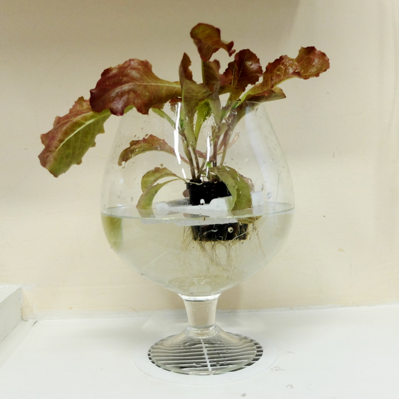 Гидропонные системы