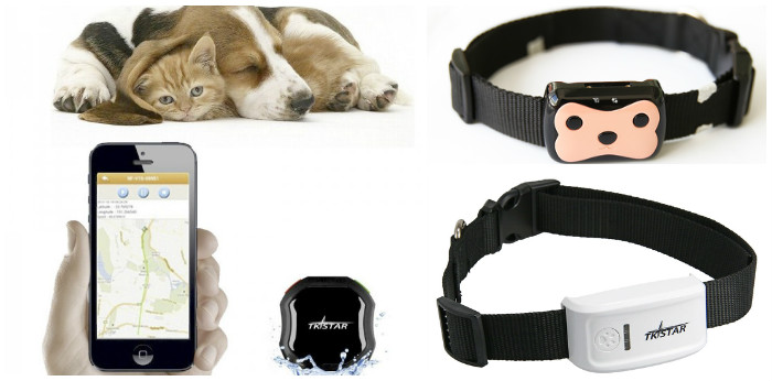 GPS ошейник