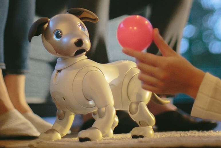 Собака - робот