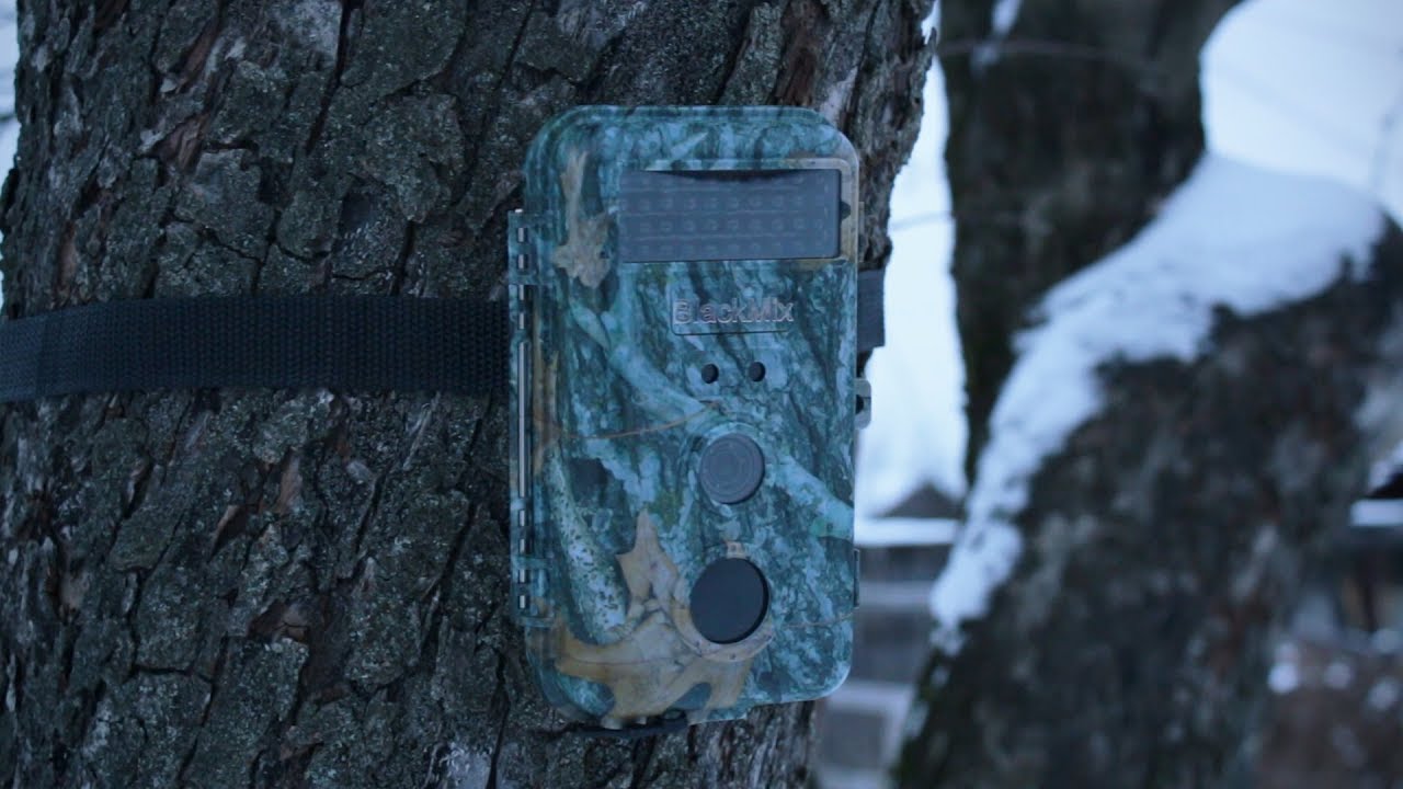 Фотоловушка