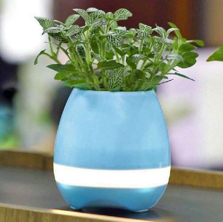 Умный горшок для растений