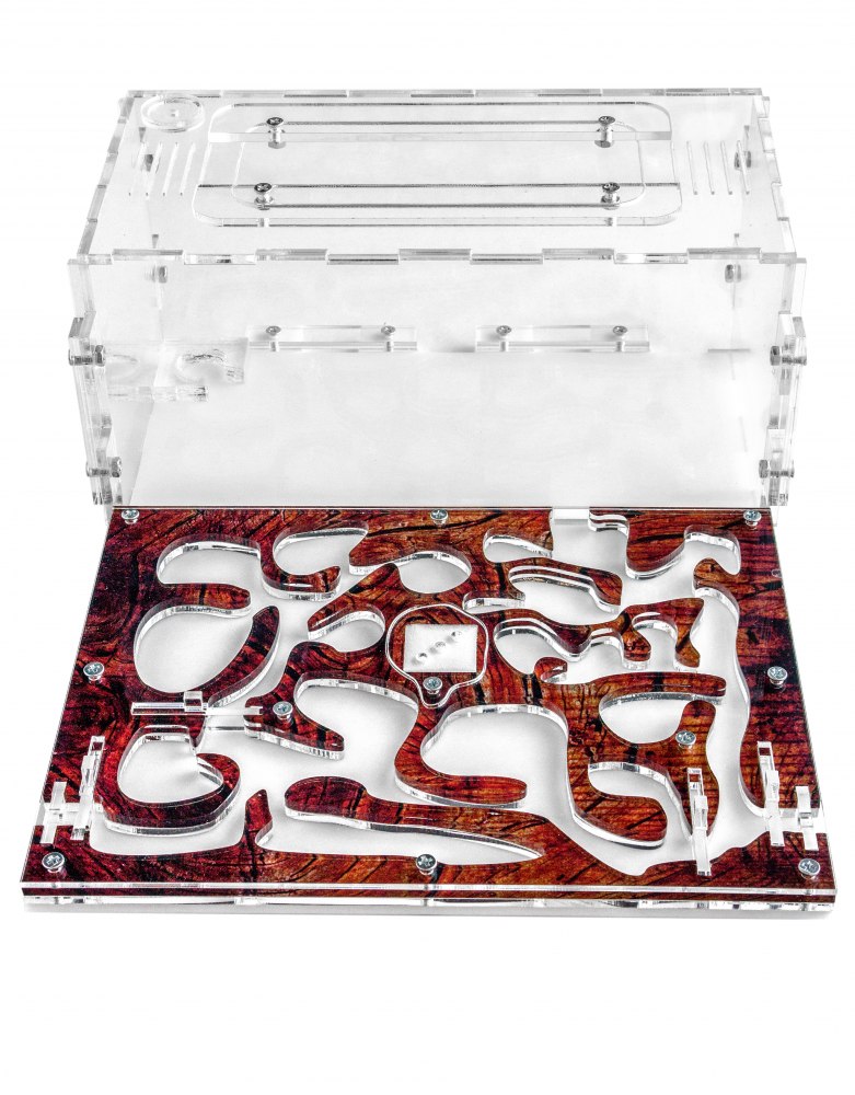 Муравьиная ферма