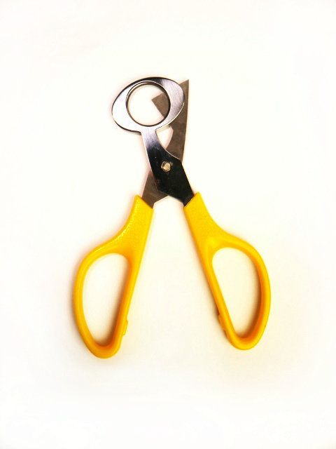 Ножницы для перепелиных яиц