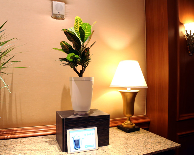 Умный горшок для растений