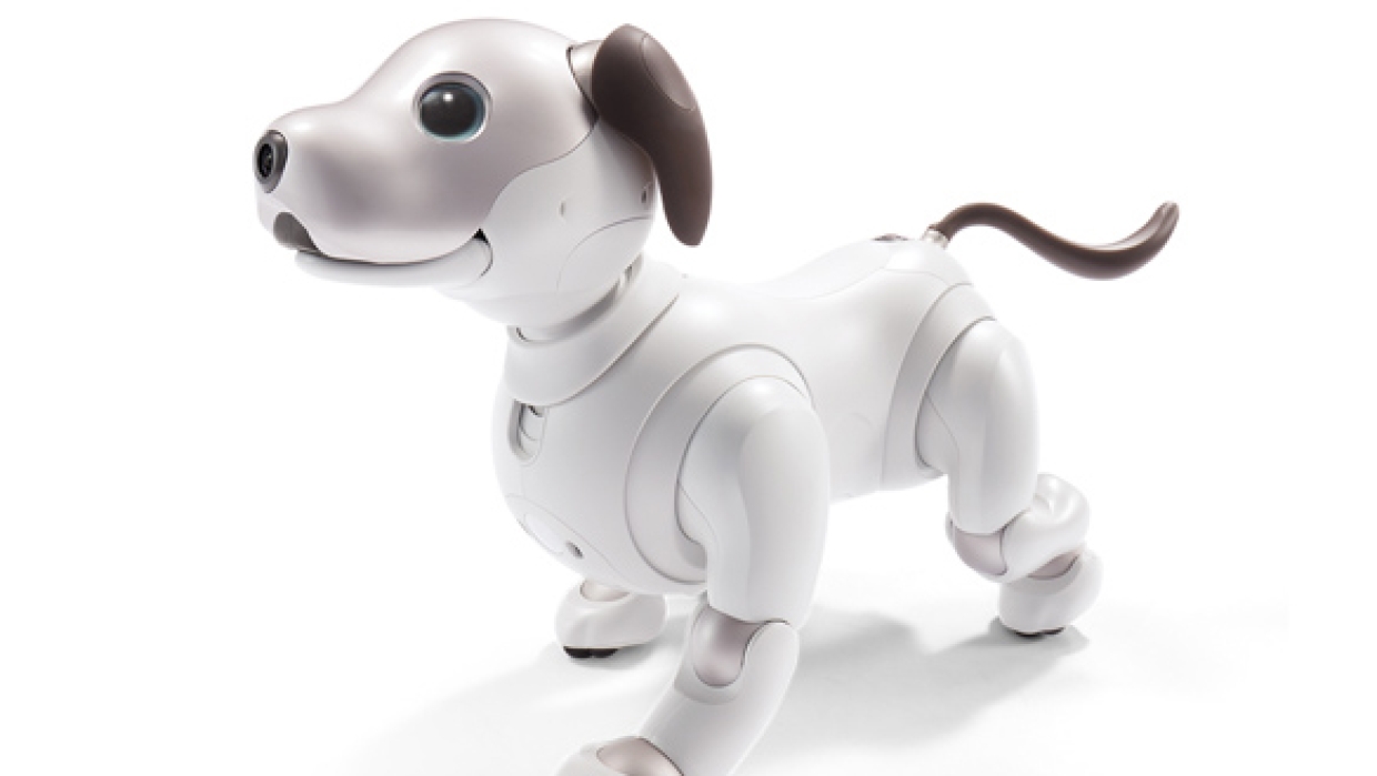 Собака - робот