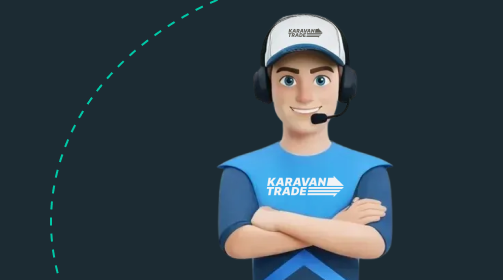 Гид и переводчик